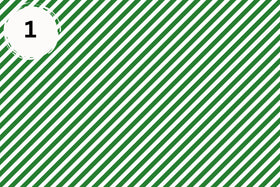 Candy Cane vinyl collection- 12x12 sheets- 16 designs available