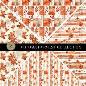 Autumn Harvest precut Vsplit 12x12 vinyl sheet 2 Designs