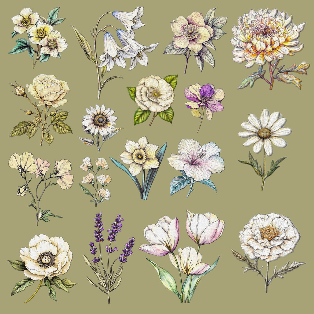 Botanicals UV DTF Decal Sheets-2 Design Options