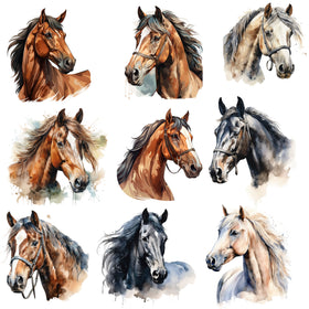 Horses Decal sheet UV DTF Decal sheet