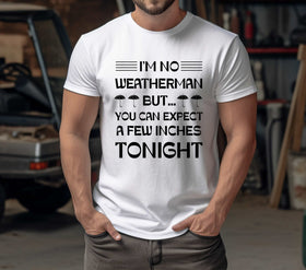 I'm no weatherman DTF Transfers