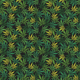 Hey Bud! - Adhesive Vinyl