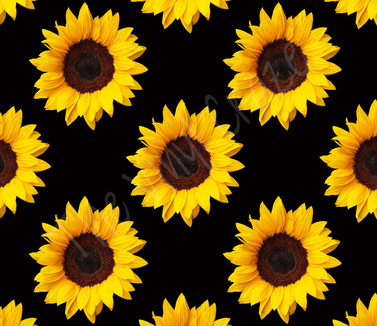 Spring Fling? Digital Download