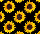 Spring Fling? Digital Download