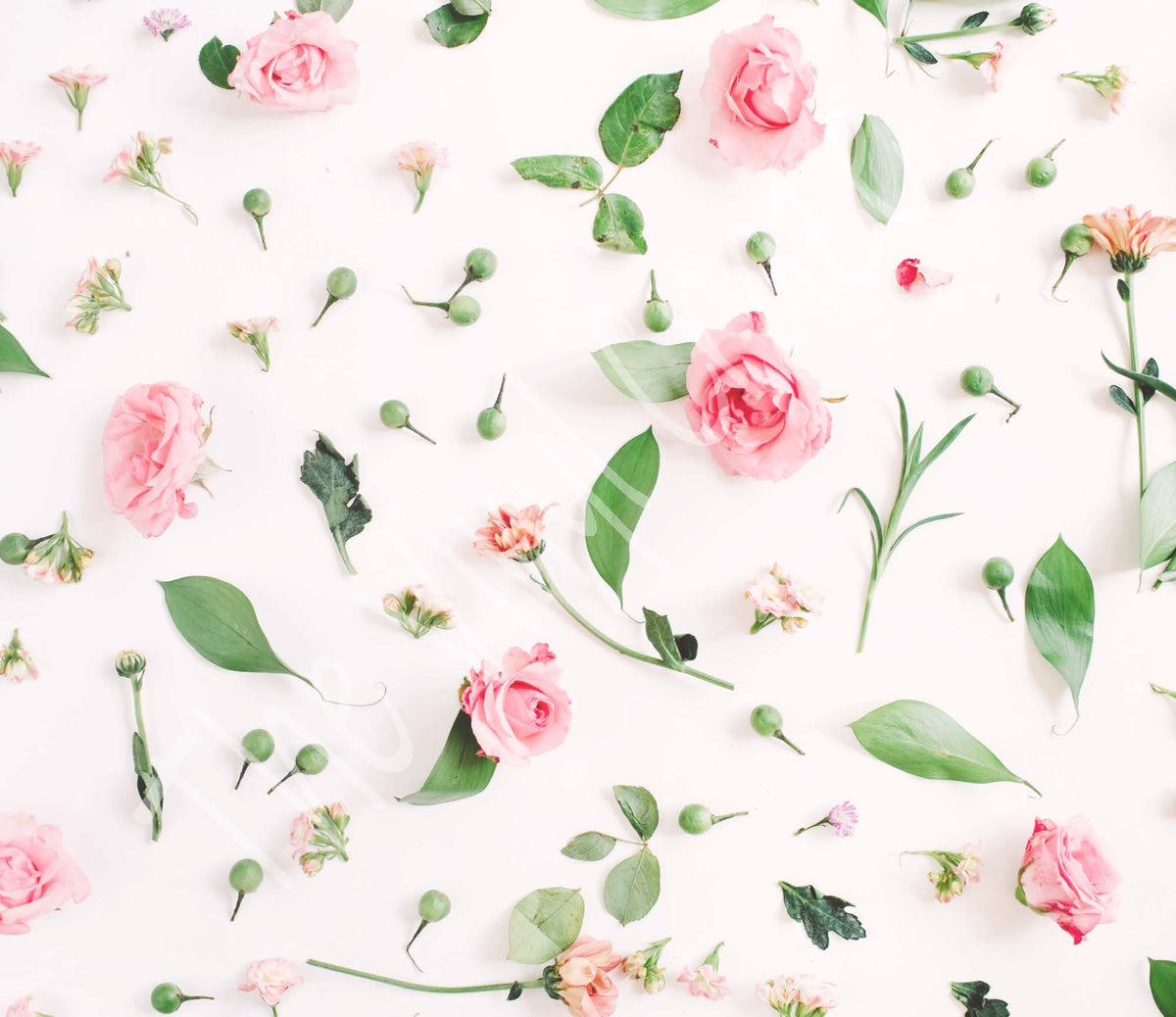 Spring Fling? Digital Download