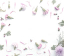 Spring Fling? Digital Download