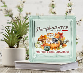Pumpkin Patch Kitten Glass Block Decal 2 sizes available
