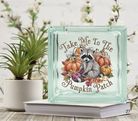 Take me to the pumpkin patch raccoon Glass Block Decal