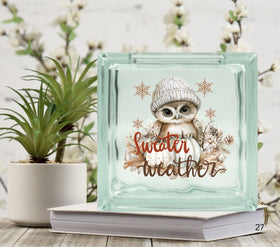 Sweater Weather Owl Glass Block Decal
