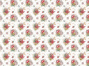 Cute Ladybug Collection Vinyl collection- 12x12 vinyl sheets-14 designs available