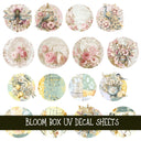 Limited Bloom Box these ship the 10th these can not be purchased with discounts