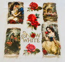#161 Double Sided Snow White Torn Pages