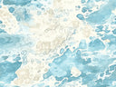 Coastal Cowgirl Collection Vinyl collection- 12x12 vinyl sheets-20 designs available