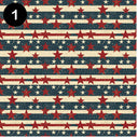 Looking like the 4th of July Collection 12x12 Vinyl Sheets- 8 Designs Available