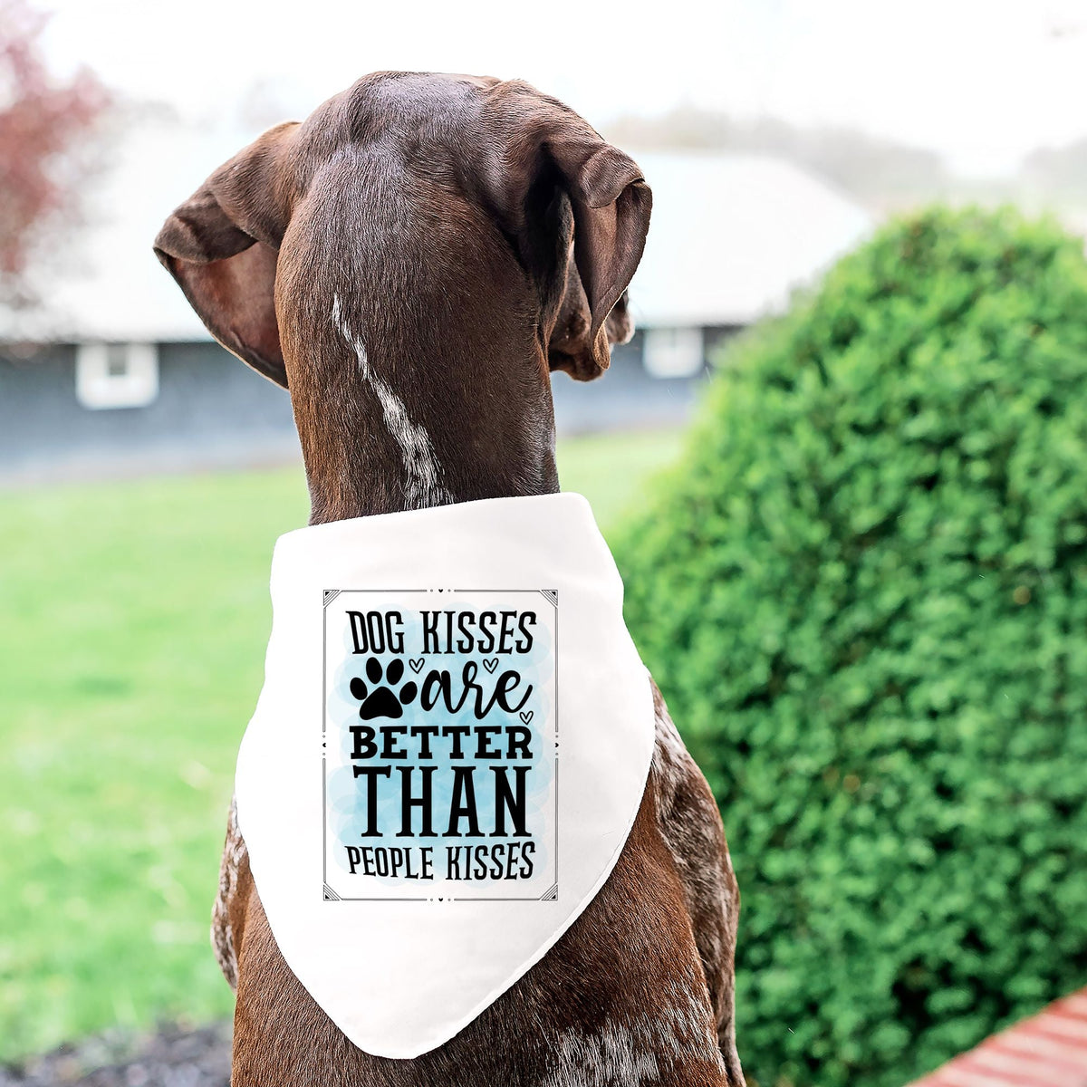 Dog Bandana and Clothing DTF Transfers- 29 Designs Available