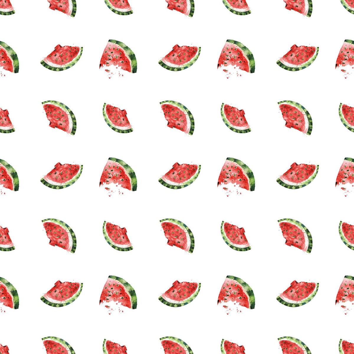 Watermelon Crawl Collection 12x12 Vinyl Sheets- 8 Designs Available