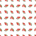 Watermelon Crawl Collection 12x12 Vinyl Sheets- 8 Designs Available