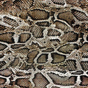 Snakeskin 12x12 vinyl sheets 6 different prints