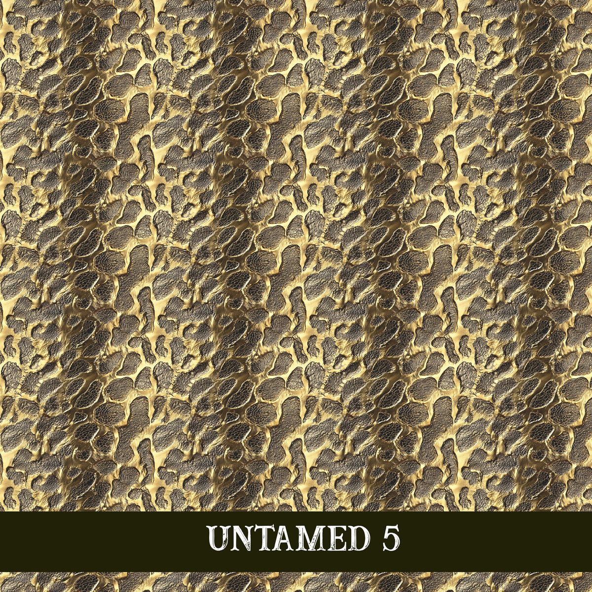 Untamed collection- 12x12 vinyl sheets 6 designs available