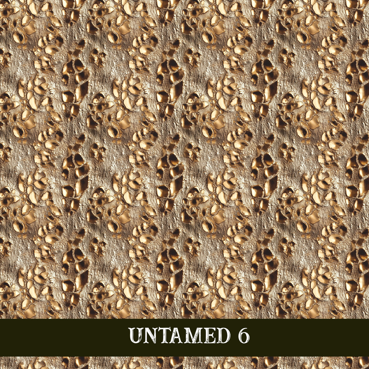 Untamed collection- 12x12 vinyl sheets 6 designs available