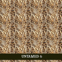 Untamed collection- 12x12 vinyl sheets 6 designs available