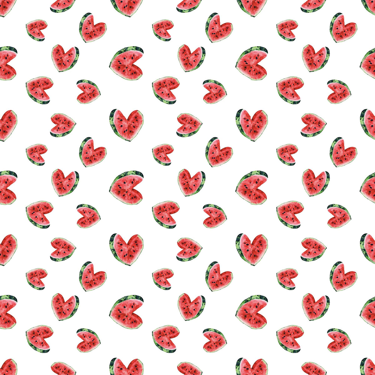 Watermelon Crawl Collection 12x12 Vinyl Sheets- 8 Designs Available