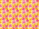 Summer Paradise Collection Vinyl collection- 12x12 vinyl sheets-16 designs available