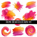 Tropic Crush Collection 14 Coordinating UV Decal sheets to choose from