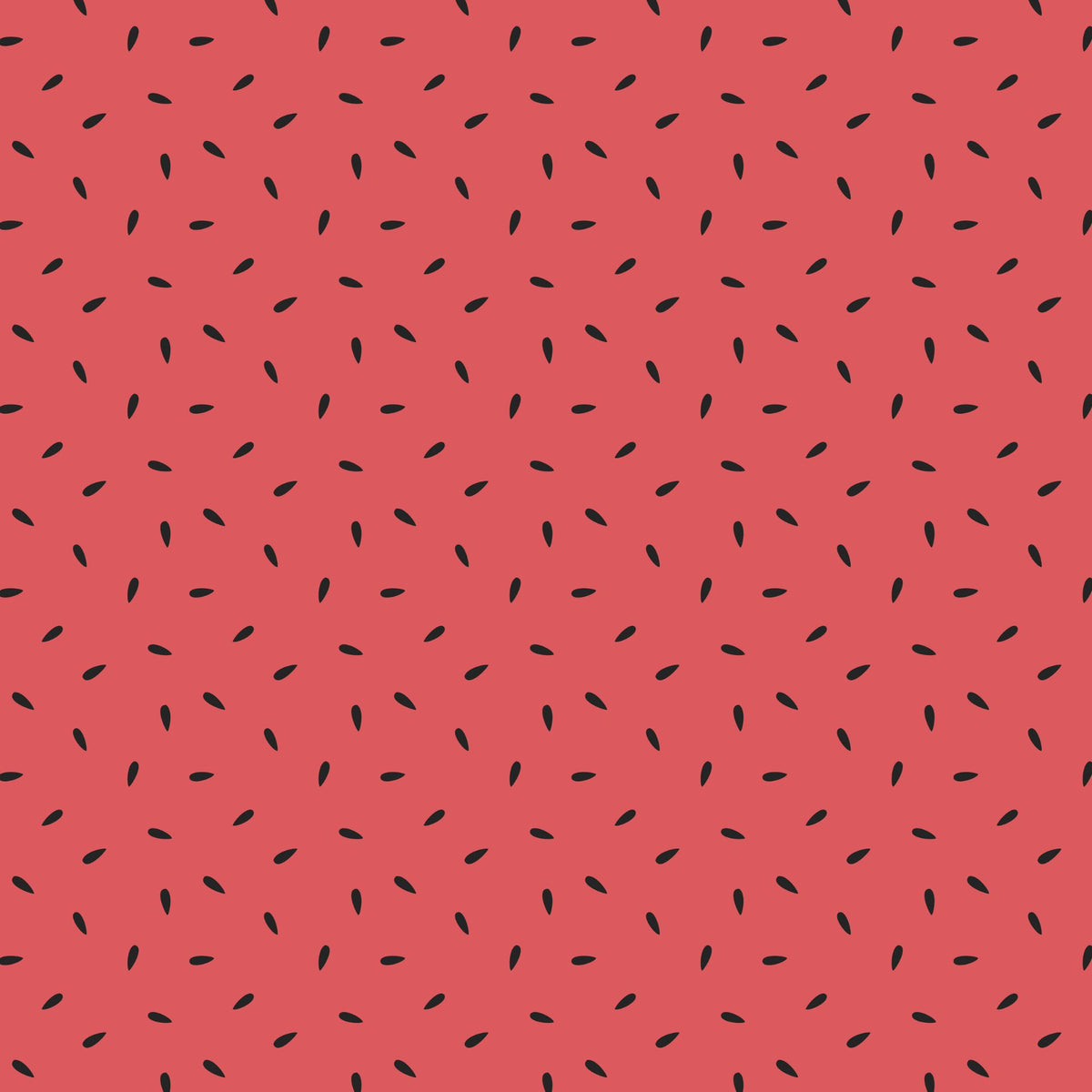 Watermelon Crawl Collection 12x12 Vinyl Sheets- 8 Designs Available