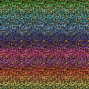 Cheetah Rainbow Ombre Adhesive Vinyl