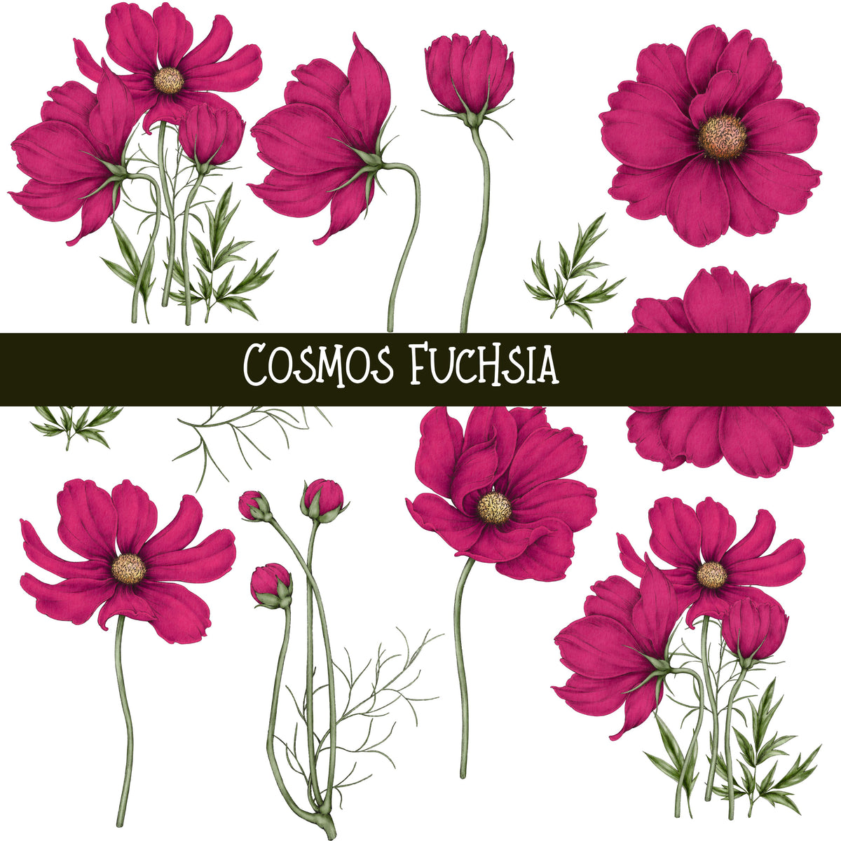 Cosmos Floral UV DTF Decal sheets 4 color options