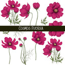 Cosmos Floral UV DTF Decal sheets 4 color options