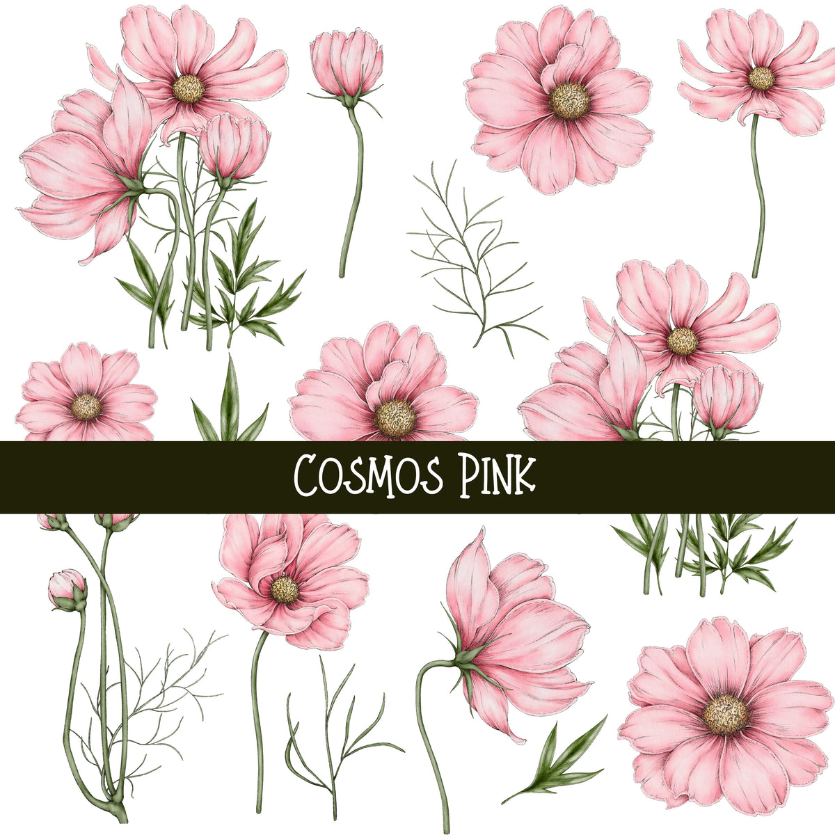 Cosmos Floral UV DTF Decal sheets 4 color options