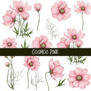 Cosmos Floral UV DTF Decal sheets 4 color options
