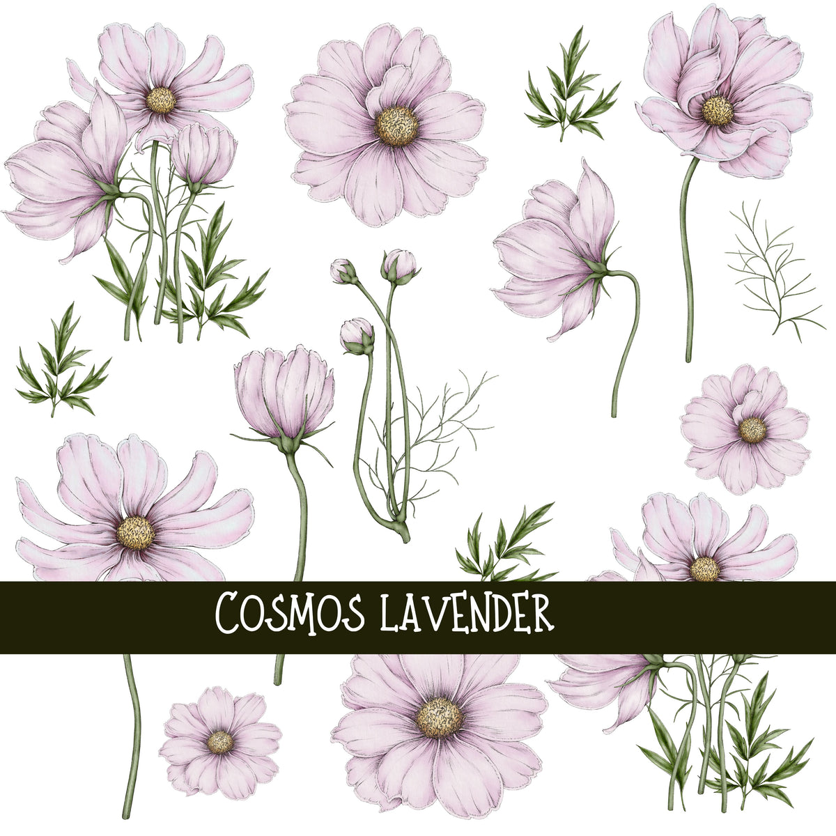 Cosmos Floral UV DTF Decal sheets 4 color options