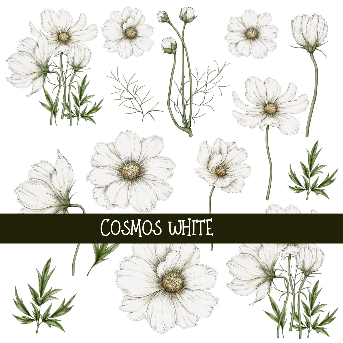 Cosmos Floral UV DTF Decal sheets 4 color options