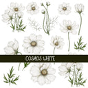 Cosmos Floral UV DTF Decal sheets 4 color options