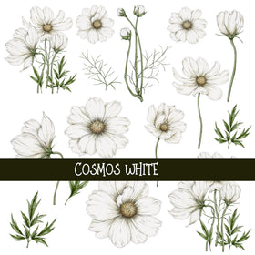 Cosmos Floral UV DTF Decal sheets 4 color options