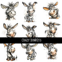 Crazy Donkeys UV Decal sheet