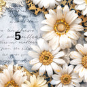 Daisies and Denim Collection 12x12 Vinyl Sheets- 12 Designs Available
