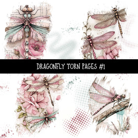 Dragonfly Torn Pages UV DTF Decal sheets 2 Designs available