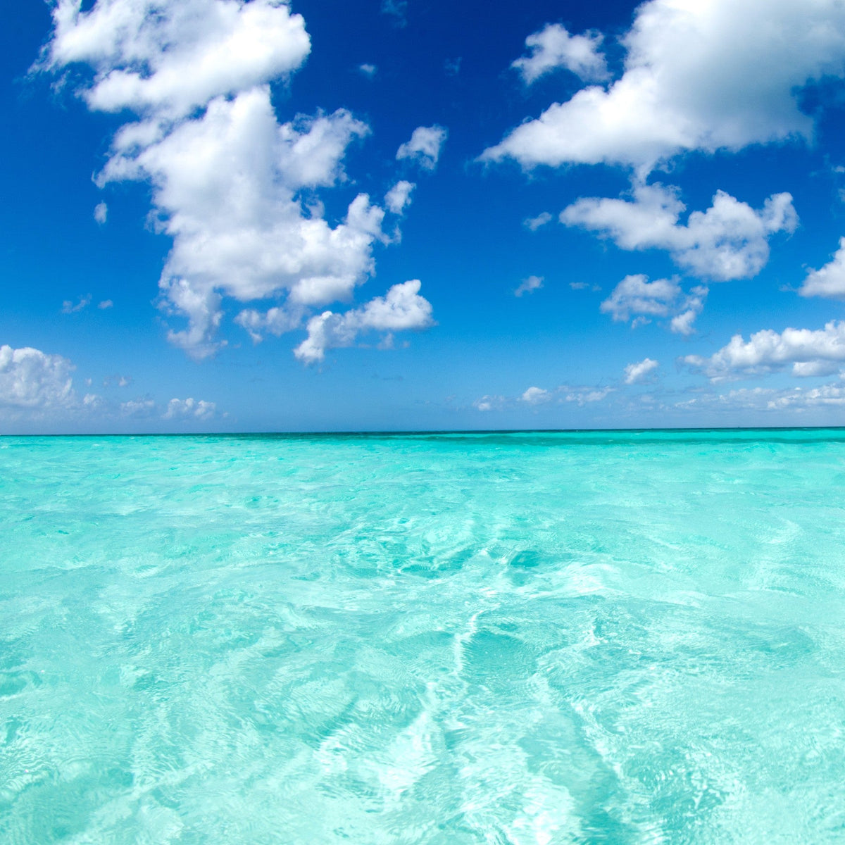 El Caribe - Adhesive Vinyl