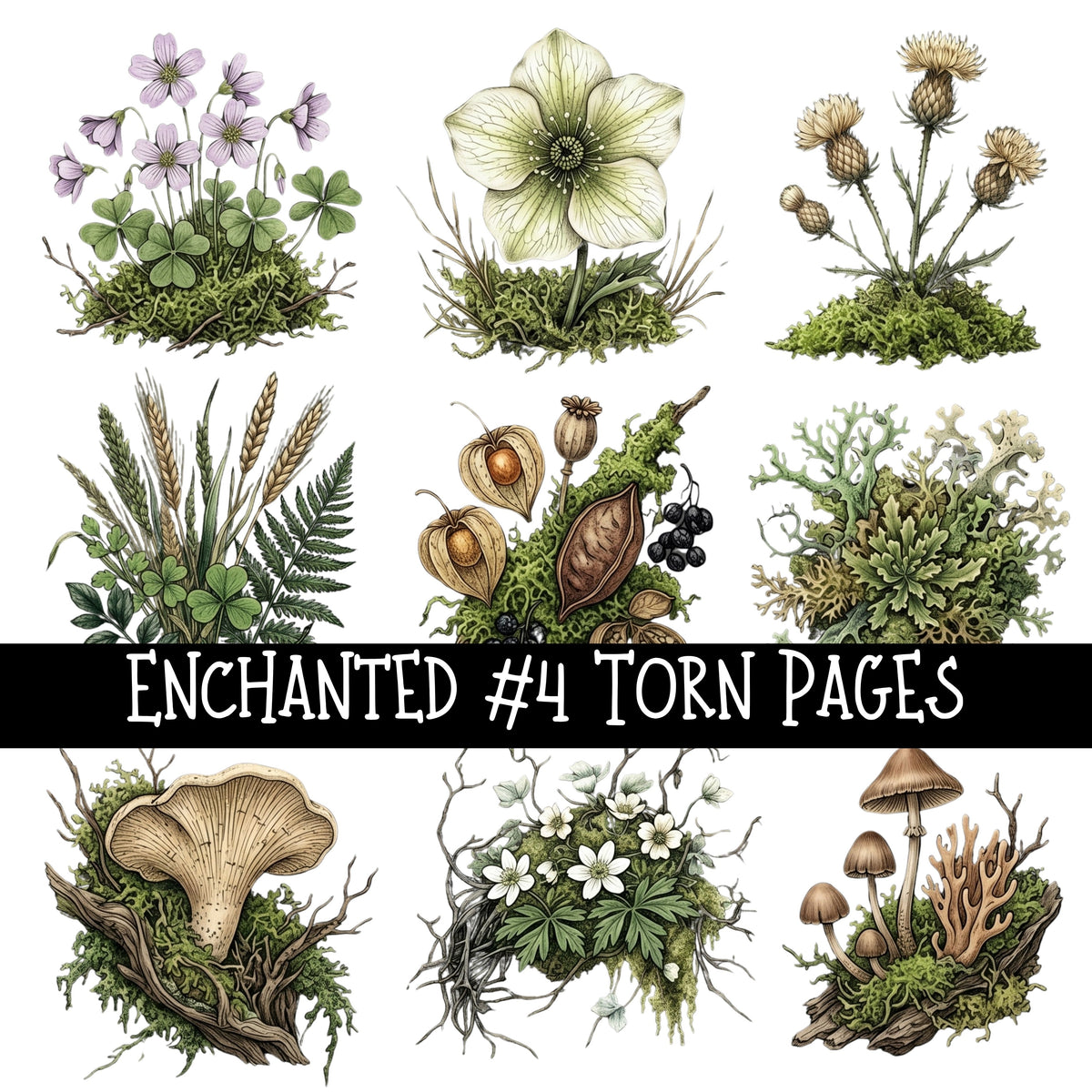 Enchanted Torn Pages UV DTF Decal sheets 5 designs available
