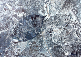 Frozen Leaves - Adhesive Vinyl Wrap