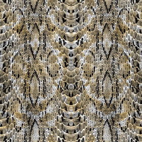 Gold Snakeskin - Adhesive Vinyl