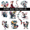 Grunge Alice Torn Pages UV DTF Decal sheets 11 Designs available
