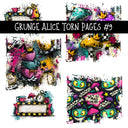 Grunge Alice Torn Pages UV DTF Decal sheets 11 Designs available