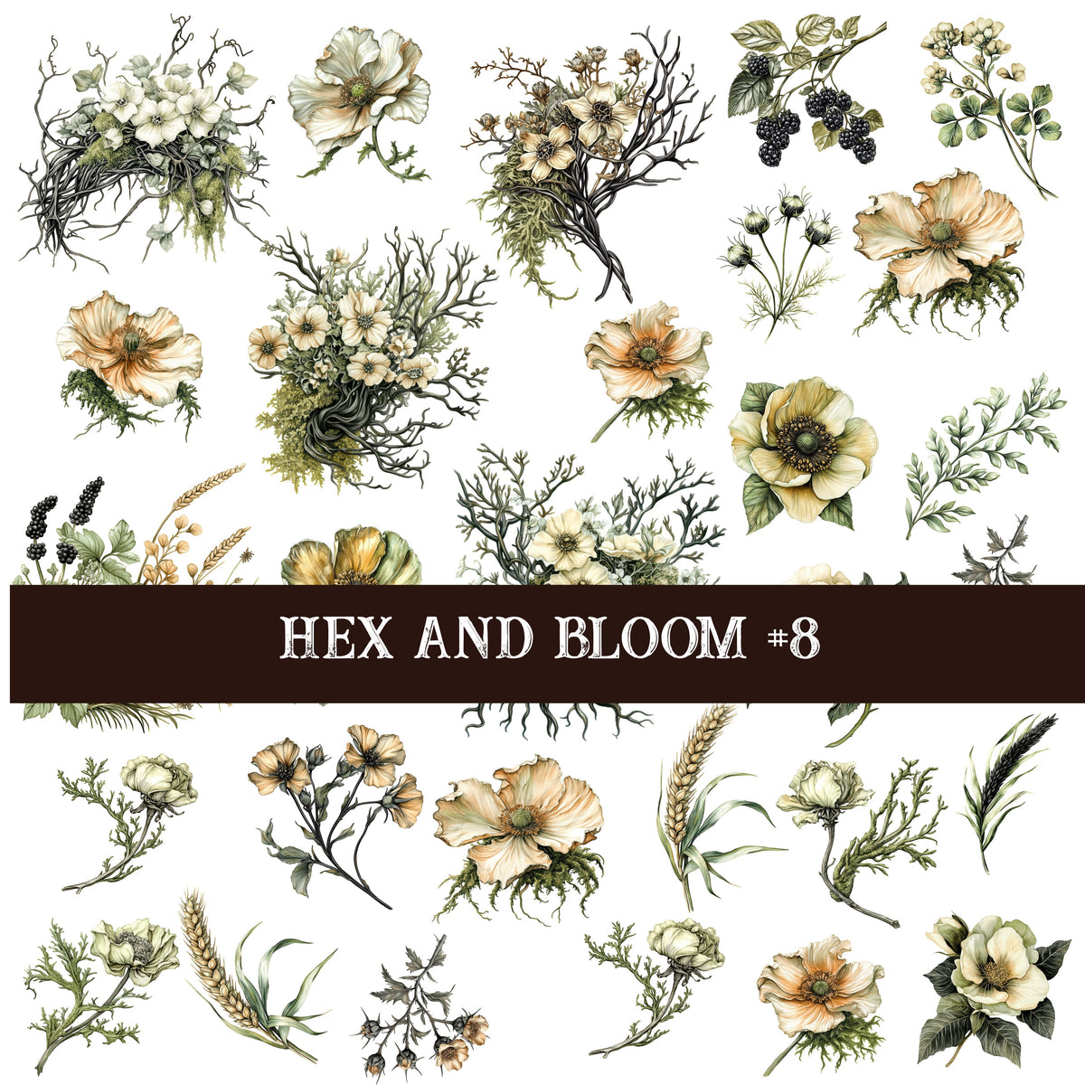 Hex and Bloom Collection Decal sheets- 8 styles
