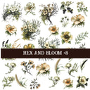Hex and Bloom Collection Decal sheets- 8 styles