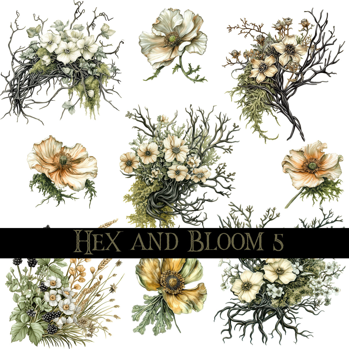 Hex and Bloom Collection Decal sheets- 8 styles